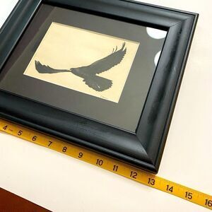 Ink drawing of flying bird in frame by c. Younkin